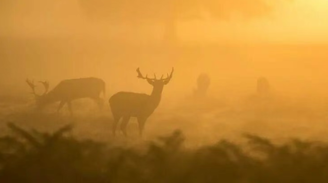 1773880139861837.png image.png